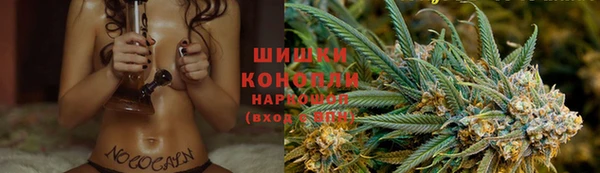 ГАЛЛЮЦИНОГЕННЫЕ ГРИБЫ Алзамай