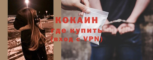 твердый Лабытнанги