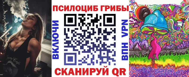 Галлюциногенные грибы Psilocybe  даркнет сайт  гидра маркетплейс  Хадыженск 