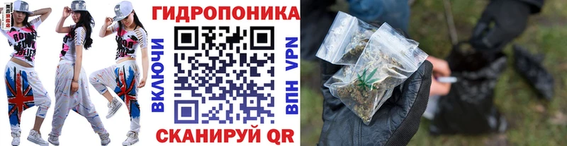 где можно купить   Хадыженск  МАРИХУАНА OG Kush 